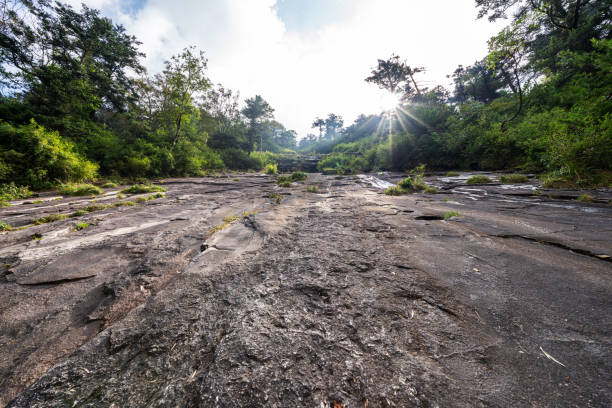 China Qinling Forest Park Scenery