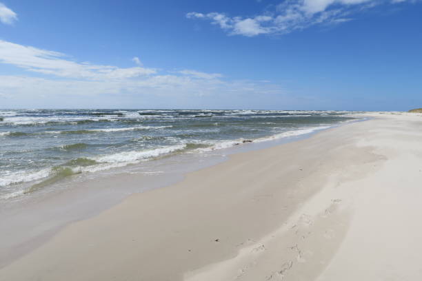 istock Waves on Sandhammaren beach in Scania 2168351872