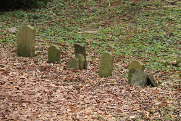 The Headstones of an Old Woodland Pet Cemetery.