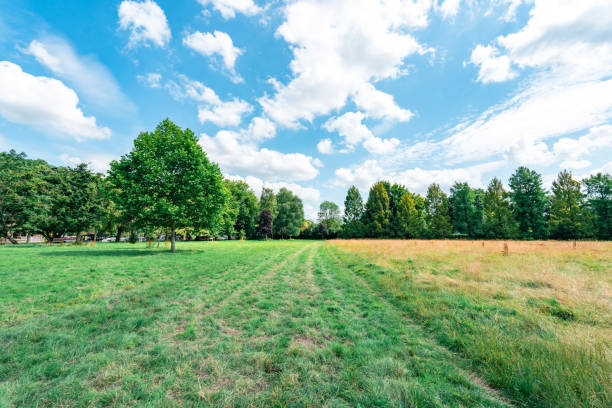 Public Park in Henley-on-Thames, UK