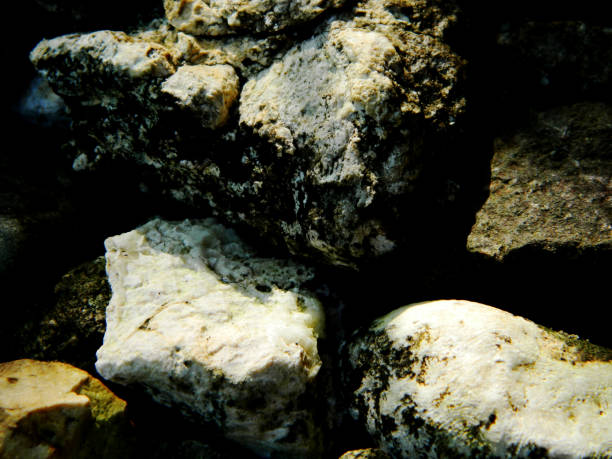 Abstract background with mountain rocks. Large shaped rocks that can be found on the shore of the sea, lake or river. Travel and tourism concept.