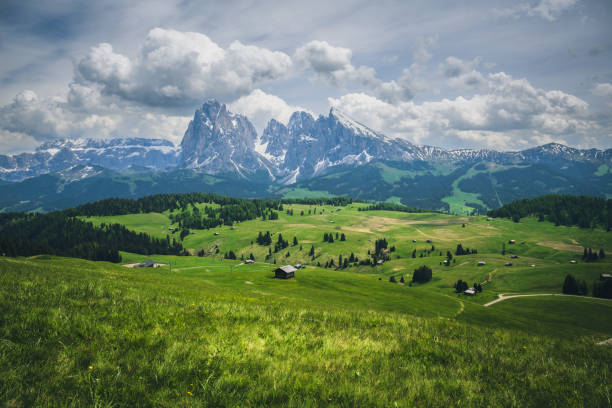 istock Italia - seiser alm - dolomites 2168357810