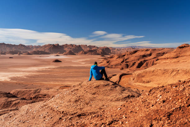 Man sitting on top of a rock admires remote scenery of a rocky desert, Devil desert, Salta province, Puna, Argentina