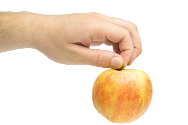 Male hand holding apple isolated  on white background