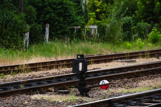 A scene of railway tracks with a signal switch in the foreground, set against a backdrop of overgrown greenery. The image captures the contrast between the man-made infrastructure and the encroaching natural environment.