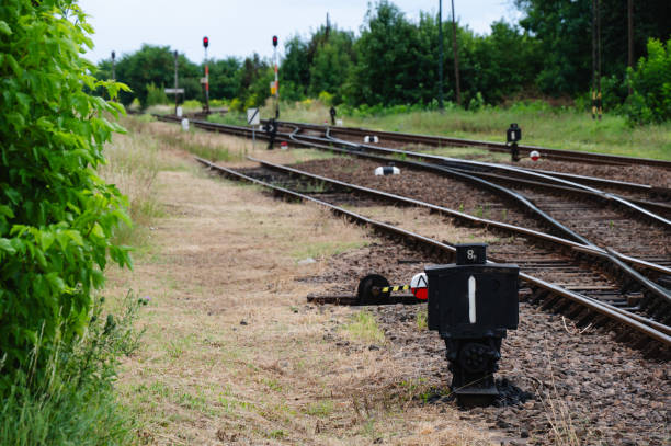 A scene of railway tracks with a signal switch in the foreground, set against a backdrop of overgrown greenery. The image captures the contrast between the man-made infrastructure and the encroaching natural environment.