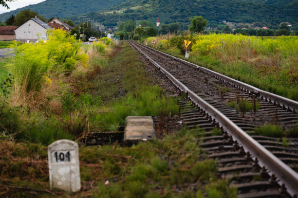 A view of railway tracks stretching into the distance, flanked by greenery and bushes in a rural area. The perspective emphasizes the long, straight path of the tracks as they lead towards distant hills under an overcast sky, capturing the essence of quiet countryside travel.