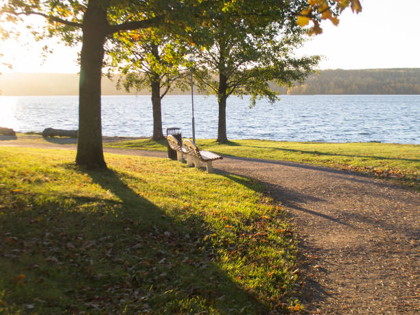 istock Urban park with beatiful lakeview by the sunset, serenity 2168366590