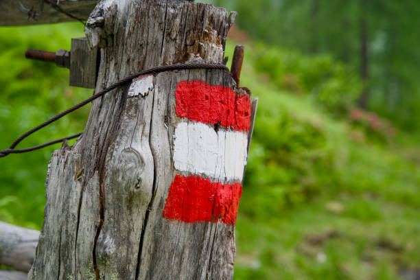 A red-white-red trail painted marker