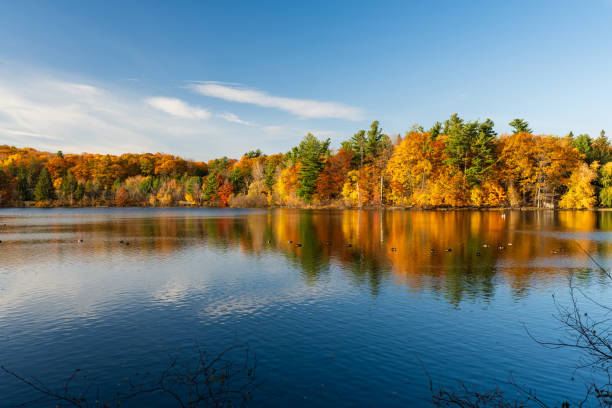 istock Autumn forest reflected on Moulin Lake. Mont-Saint-Bruno National Park, Quebec, Canada. 2168368012