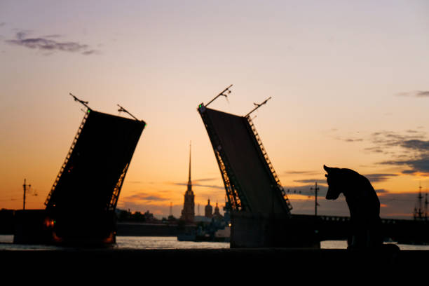 A Siberian Husky is silhouetted against a raised bridge during sunset. The dramatic lighting emphasizes the dog majestic profile.