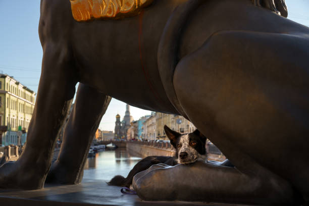 istock Dog lying next to a statue in the city 2168369117