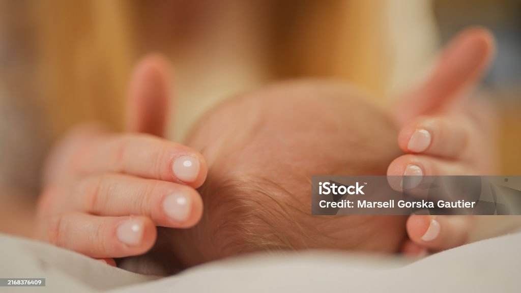 Newborn's head in mother's hands. Childcare. Baby - Human Age Stock Photo Newborn's head in mother's hands. Childcare. Baby - Human Age Stock Photo