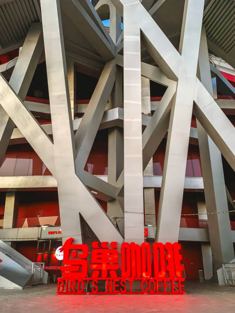 Modern architecture of Beijing National Stadium on a sunny day