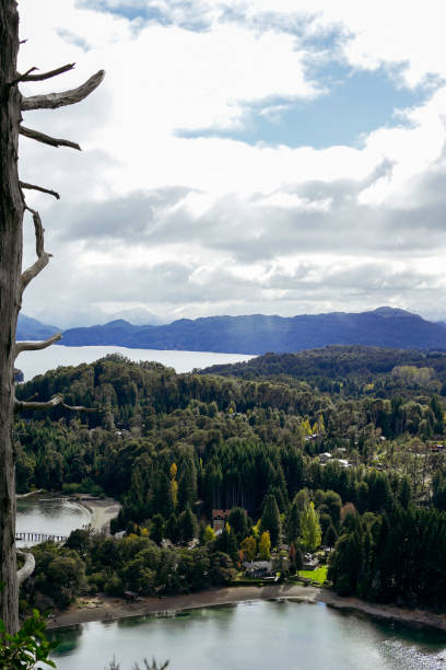 istock Dense forest and calm lake are framed by distant mountain ranges, seen through the branches of a tree. 2168385407