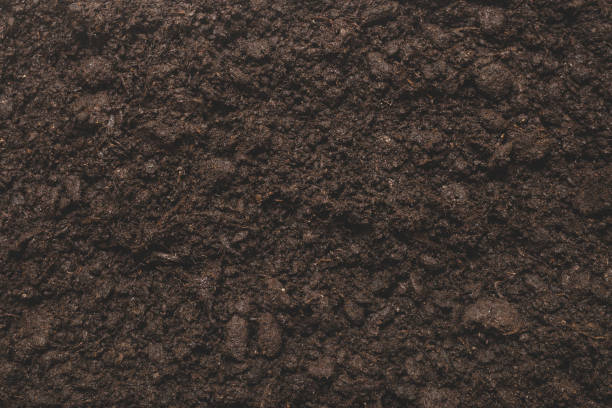 istock Black land for plant background. 2168389852