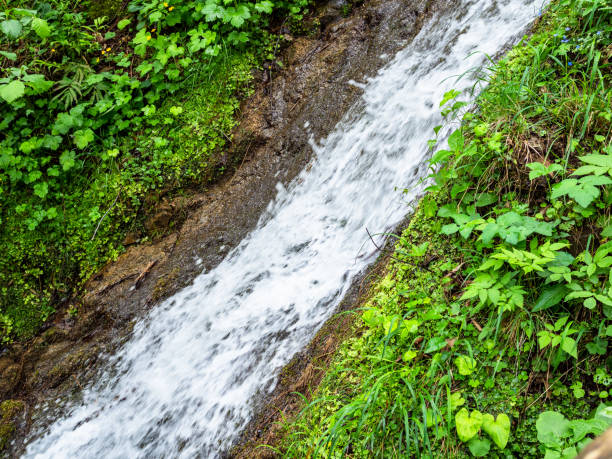 Natural Bridge waterfall Australia shot on tilt-shift lens