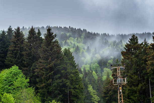 gray clouds on overgrown mountains near Hamsikoy village, Turkey