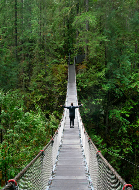 Woman walks down suspension bridge in lush forest on a rainy day
