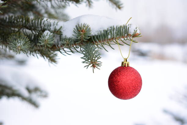 istock a red ornament hangs on a fir tree with snow on it 2168407458