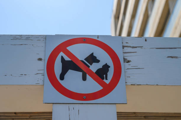 istock sign prohibiting walking dogs and cats 2168411096