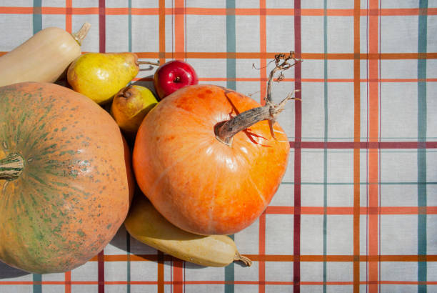 Autumn season concept. Sustainable Holidays. Healthy eating organic food. Copy space. Top view