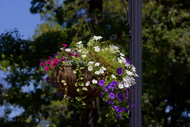 istock The floral decoration 2168414798