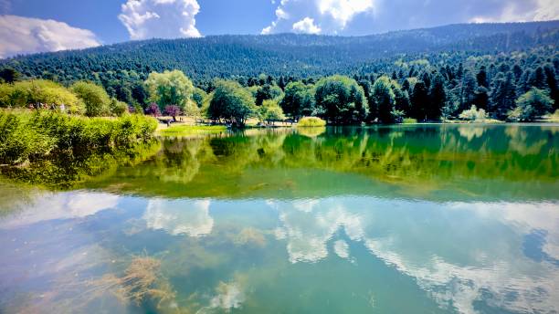 pond lake bolu