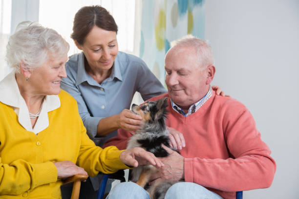istock Seniors with pet 2168417314