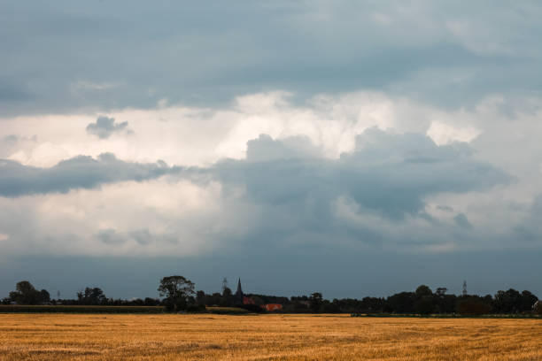 Moody sky over Rellingen with cropped corn field in the foreground.
