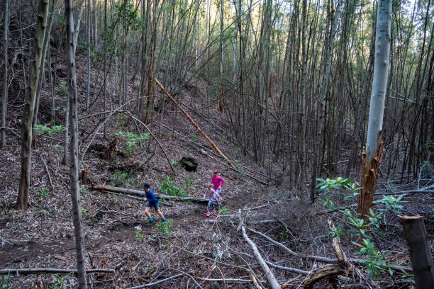 istock Family enjoy a run together through the forest 2168427614