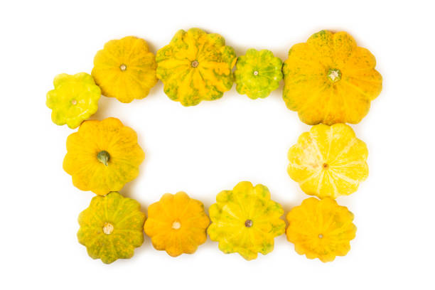 Pattypan zucchini isolated on white background. squash. Fresh organic pattypan squashes on background. Vegan. Farmer's Market. Patisson.