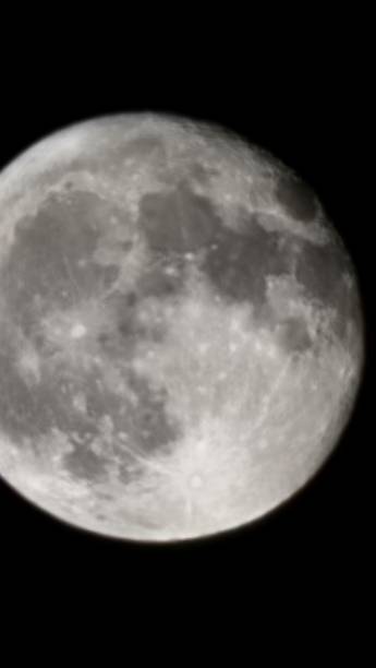 istock Supermoon State Fair flowers dogs 2168432070
