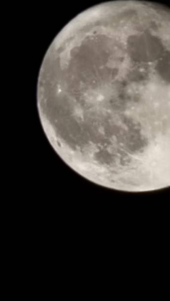 istock Supermoon State Fair flowers dogs 2168432075