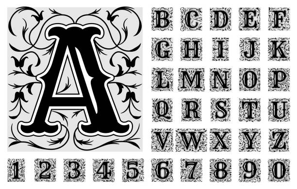 Decorative letters. Hand drawn ornate alphabet symbols numbers and letters recent vector vintage font original artwork