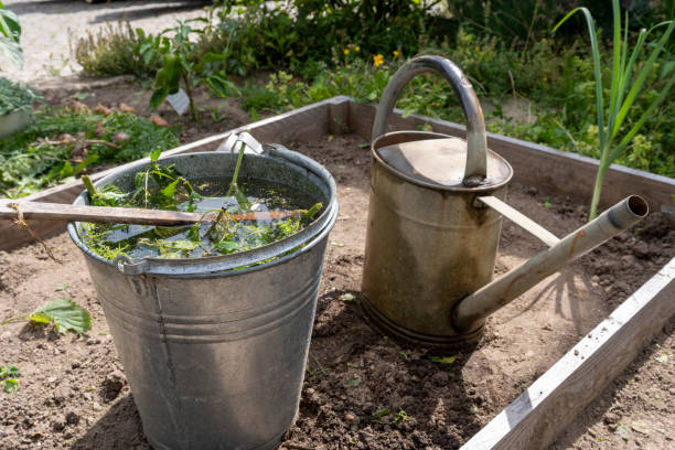 istock Production of plant liquid manure 2168437904