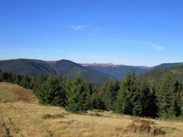 istock Beautiful autumn mountain landscape 2168439163