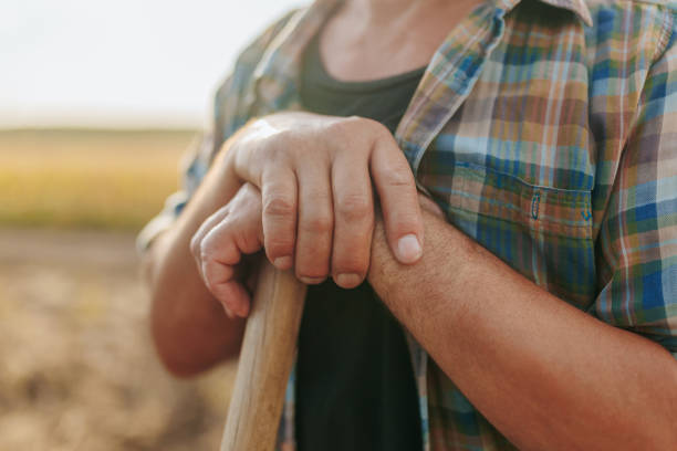 istock Old Farmer Hands at Work in Rural Agricultural Setting 2168440153