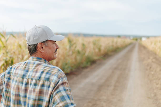 Rear View of Old Farmer Man in Cap on Rural Road by Fields