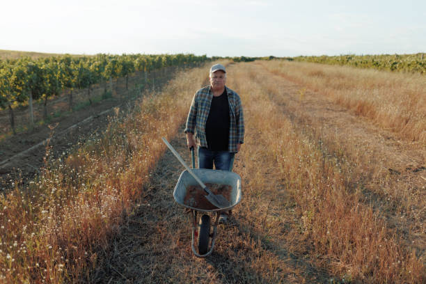 An aged male farmer, pushing a wheelbarrow, is making his way through a field. The rural scene is quiet, with the farmer's focus solely on his work.