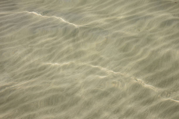 Water of Mediterranean sea. Clear with visible sandy bottom. Light waves reflecting the sunshine. Island Djerba, Tunisia, Africa.