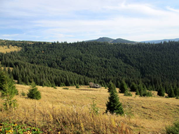 istock Beautiful autumn mountain landscape 2168445003