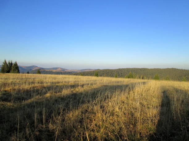 istock Beautiful autumn mountain landscape 2168445410