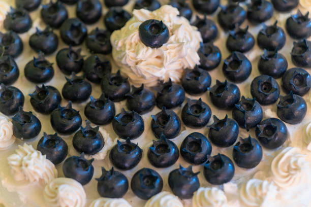 a blueberry cake with white frosting and blueberries