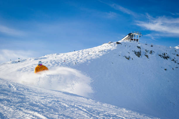 Skier descends forested mountain in fresh powder snow, Whistler, B.C.