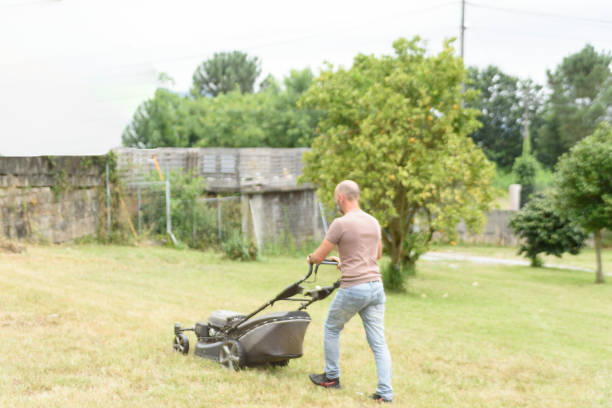 man cutting the grass with black lawnmower