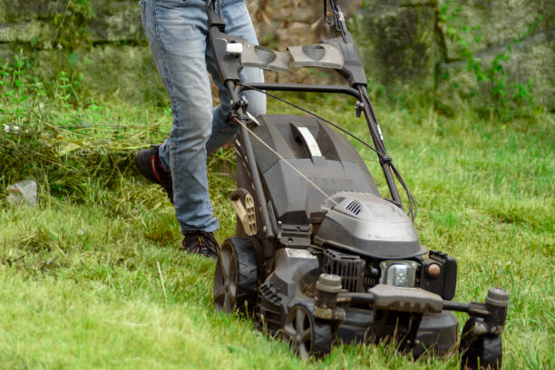 istock man cutting the grass with black lawnmower 2168455868