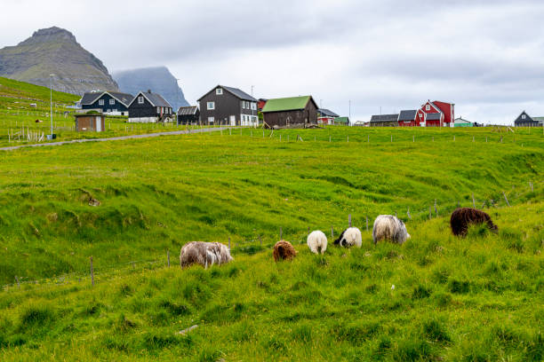 Peaceful places : Eggjarvegur landscape , Eysturoy , Faroe Islands