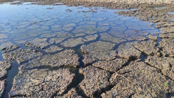 istock Cracked earth patterns partially submerged in water, creating a unique abstract texture and showcasing the effects of drought in a natural wetland environment 2168466328