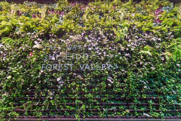 Singapore - May 31, 2024: Vertical greenery wall at Shiseido Forest Valley in Singapore, showcasing lush, vibrant plants in a modern urban setting